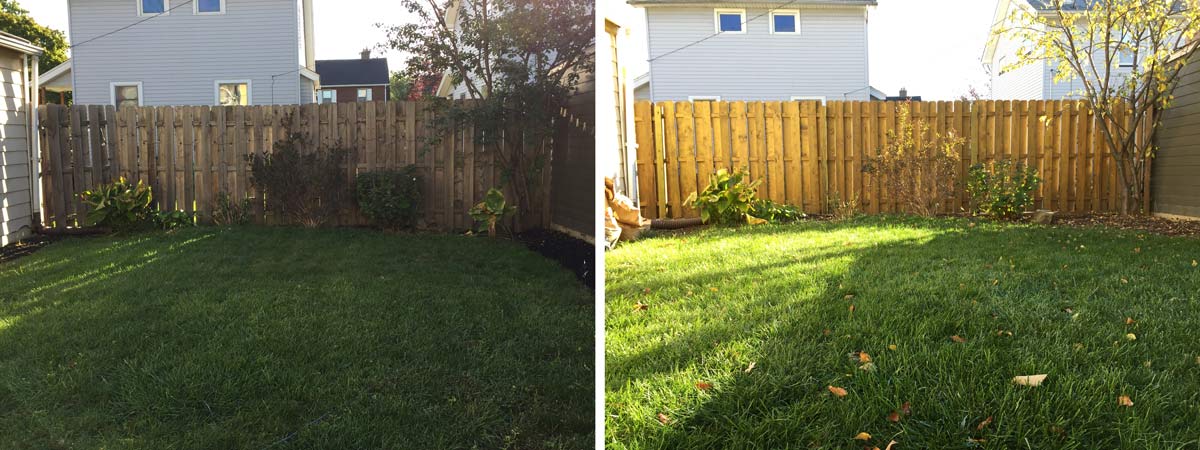 before-and-after-back-fence