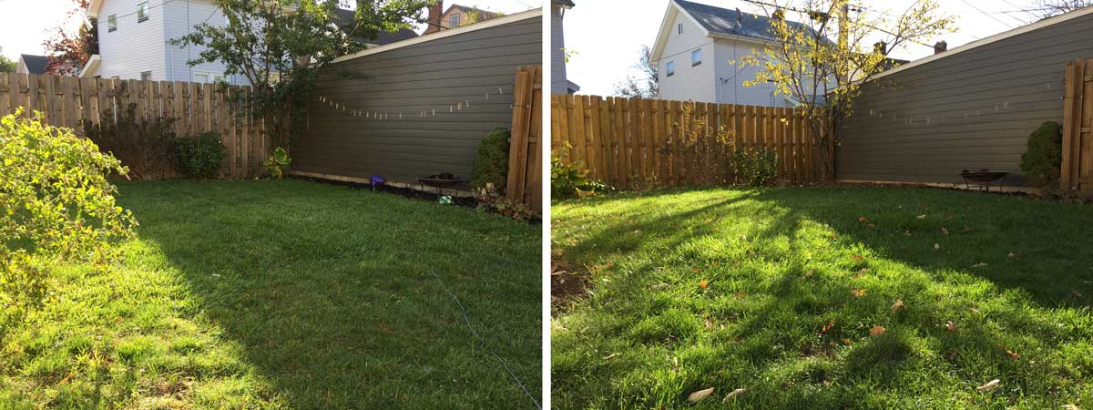 before-and-after-both-fence