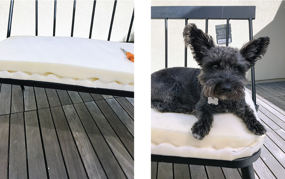 target bench cushion dog