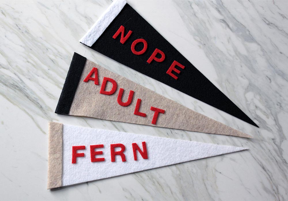 easy diy pennant finished