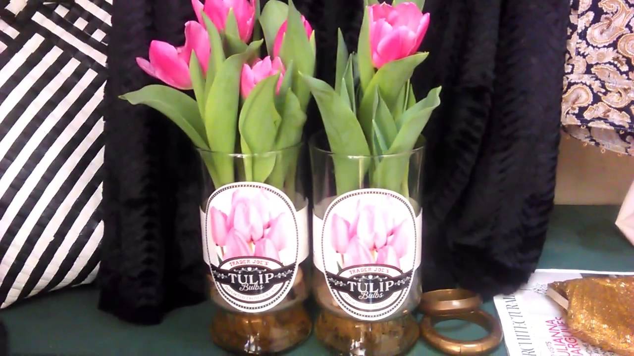 trader joes tulips